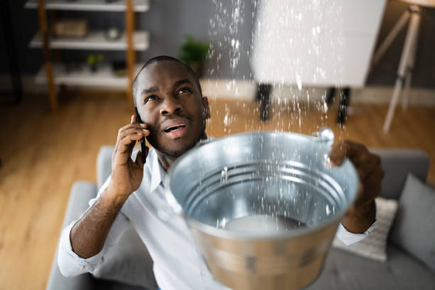 Best Water damage restoration experts  in Burlington, CO